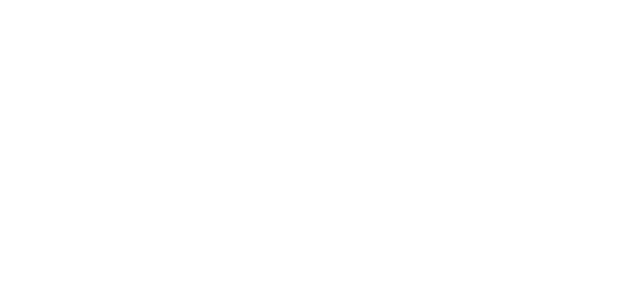 SKYWORTH Security Logo